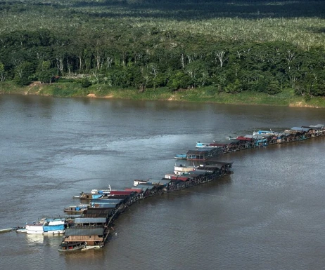 Brasil, cada vez más devastado Brasil, cada vez más devastado