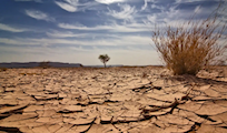 ¿Habrá Armagedón climático o soluciones? ¿Habrá Armagedón climático o soluciones?