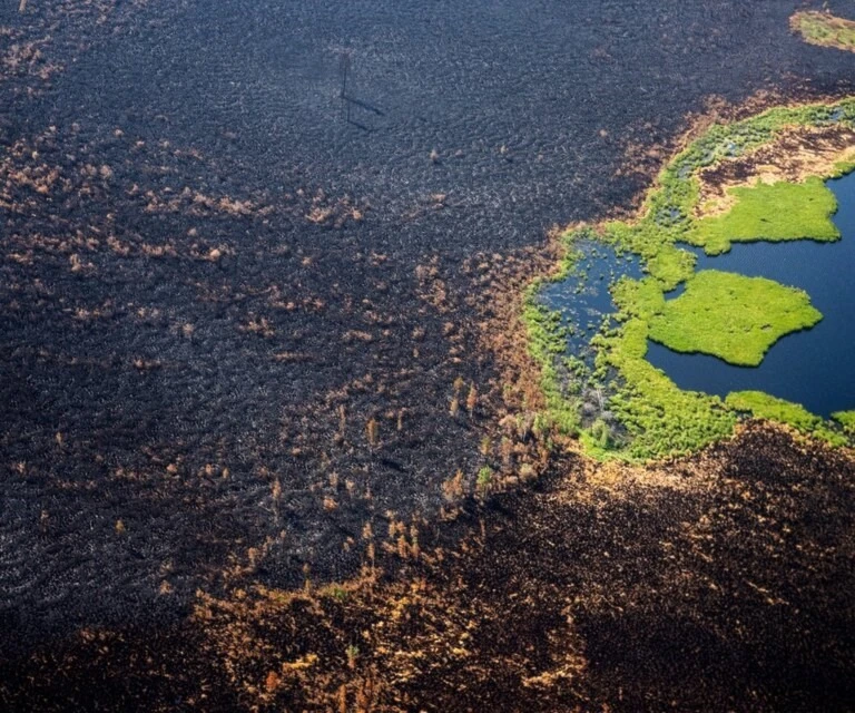 Una foto aérea muestra los bosques quemados en Yakutia. Imagen: AFP Una foto aérea muestra los bosques quemados en Yakutia. Imagen: AFP