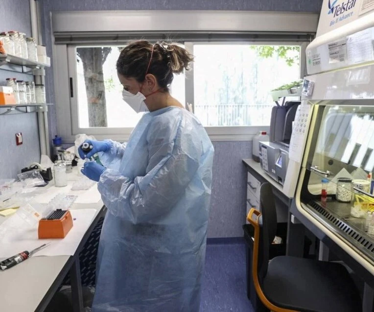 OMS sustituyó la denominación de "viruela del mono" por "mpox". Foto: EFE. OMS sustituyó la denominación de "viruela del mono" por "mpox". Foto: EFE.