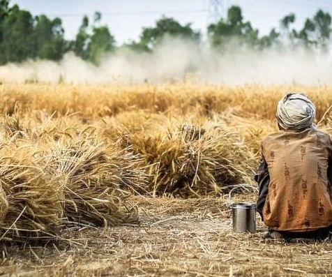 La guerra de Ucrania nos lleva a una catástrofe alimentaria mundial. La guerra de Ucrania nos lleva a una catástrofe alimentaria mundial.