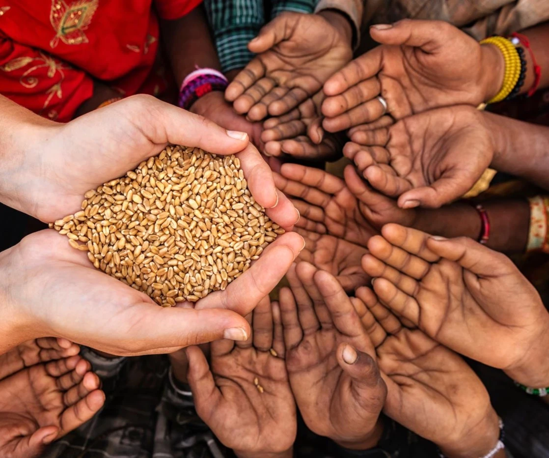 El mundo enfrentara el hambre en 2023 El mundo enfrentara el hambre en 2023
