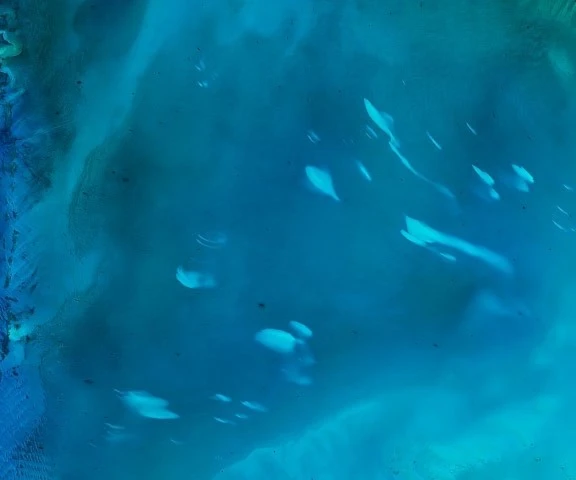 Las manchas blancas entre Florida y Bahamas aún son un misterio. Foto: NASA. Las manchas blancas entre Florida y Bahamas aún son un misterio. Foto: NASA.