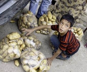 Más de la mitad de los libaneses ya no logran alimentarse satisfactoriamente. Más de la mitad de los libaneses ya no logran alimentarse satisfactoriamente.