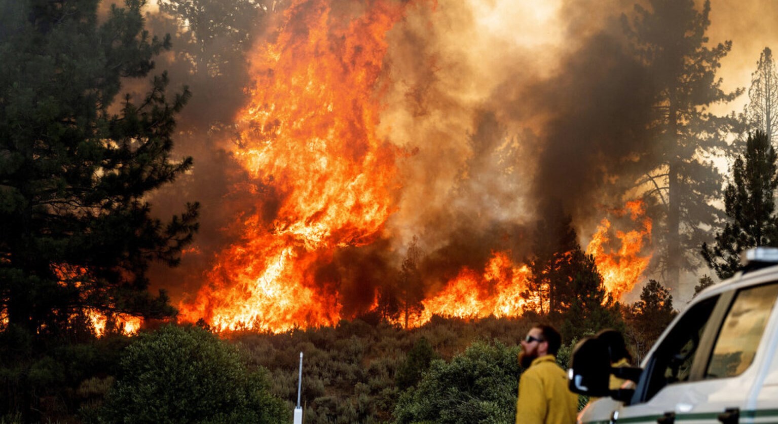 Causan estragos incendios forestales en Texas, EEUU