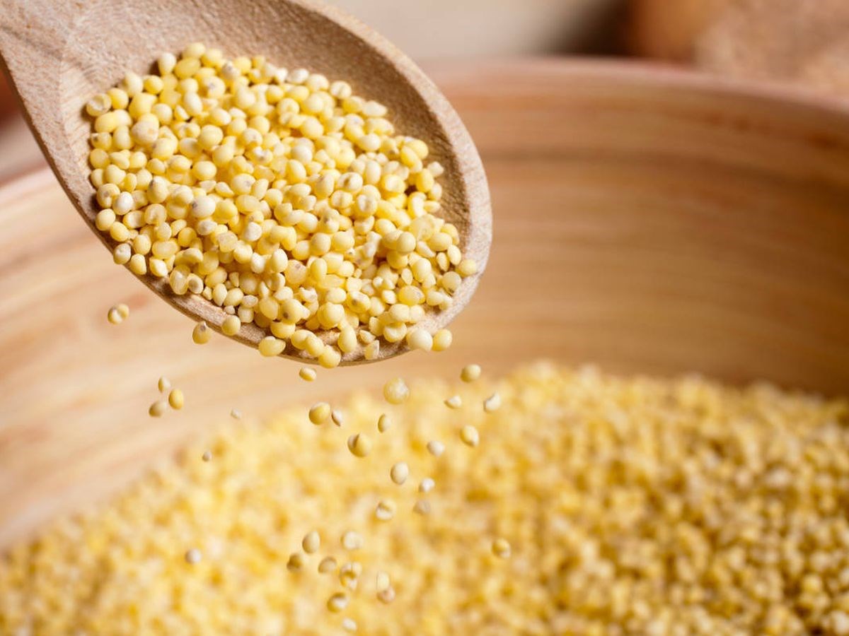 Mijo: un arma contra la escasez alimentaria