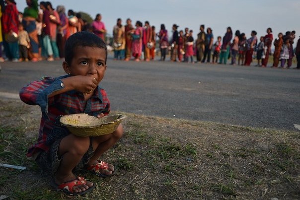 The New York  Times: Una catástrofe alimentaria está en camino