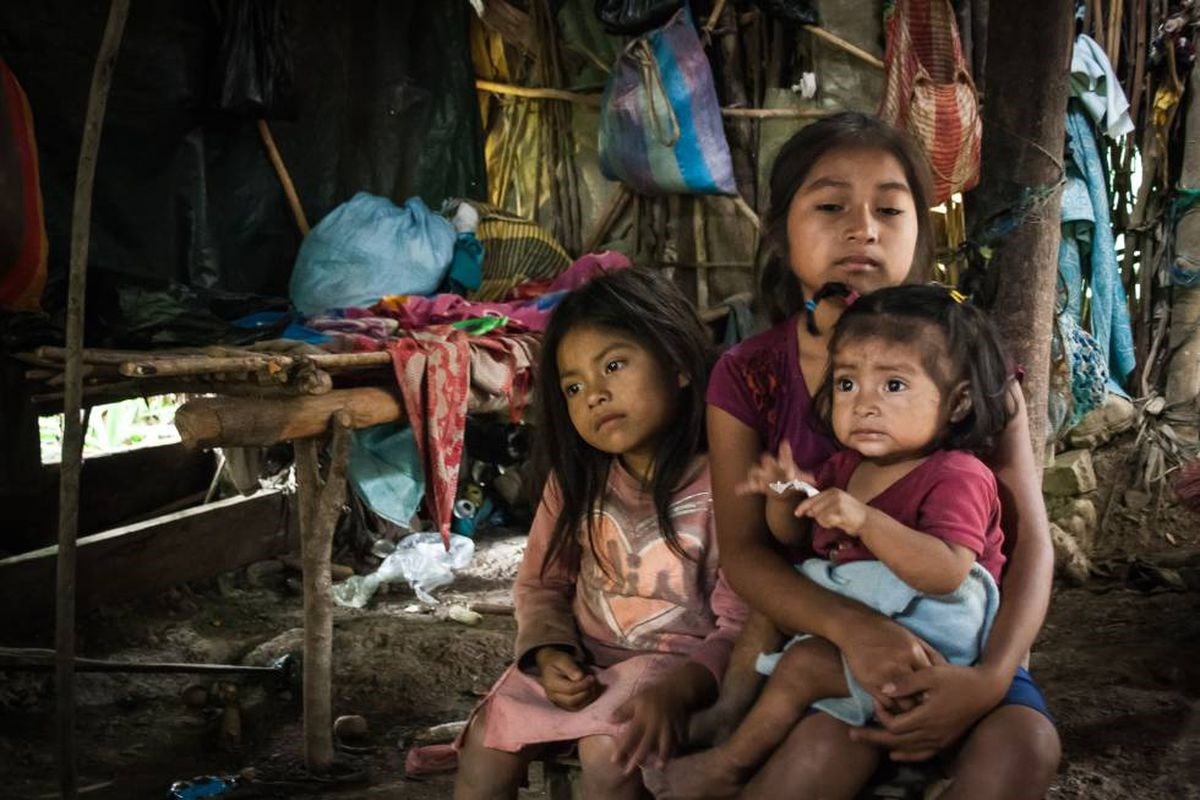 América Latina ha perdido 20 años de lucha contra el hambre”, lamenta la FAO.