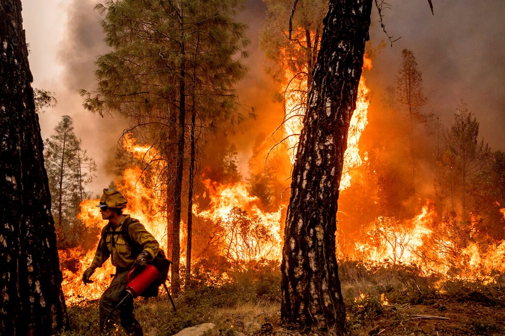Incendio forestal en California. Foto: Redes.