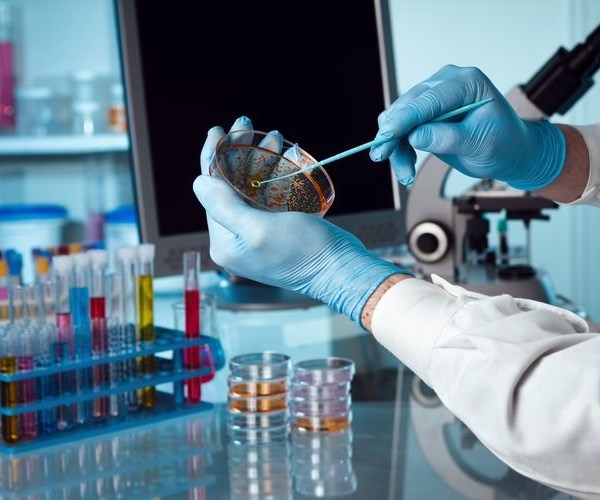 Elaboran vacuna contra infecciones fúngicas invasivas. Foto Shutterstock. Elaboran vacuna contra infecciones fúngicas invasivas. Foto Shutterstock.