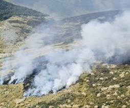 Incendio afecta 300 hectáreas del Parque Cayambe Coca en Ecuador Incendio afecta 300 hectáreas del Parque Cayambe Coca en Ecuador