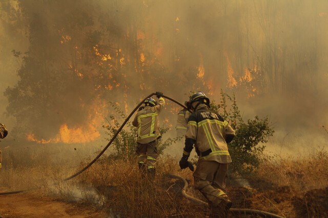 Más de ocho mil hectáreas quemadas en Chile por gigantesco incendio. Foto: Agencia Uno.