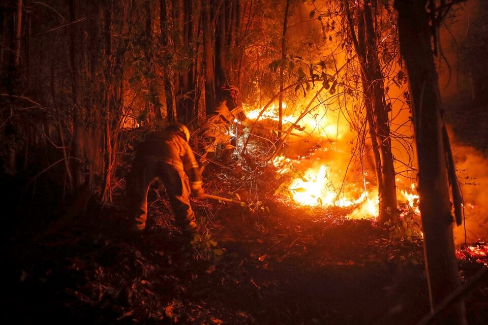 Chile continúa en vilo por los incendios forestales. Foto: AFP.