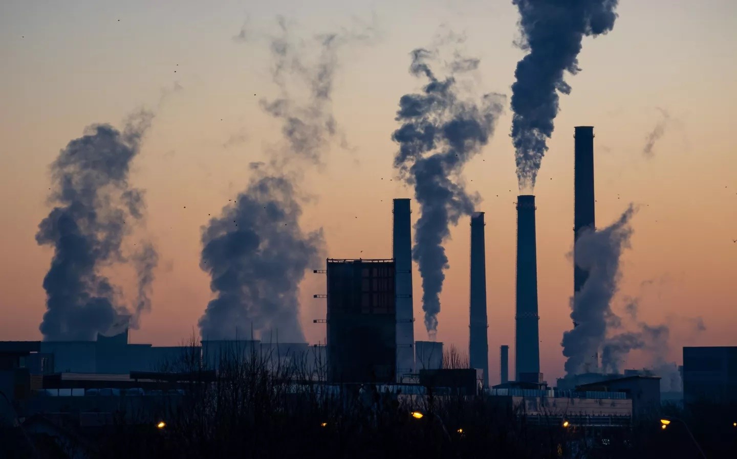 Muy pocos lugares en la Tierra quedan casi libres de contaminación. Foto: Unsplash.