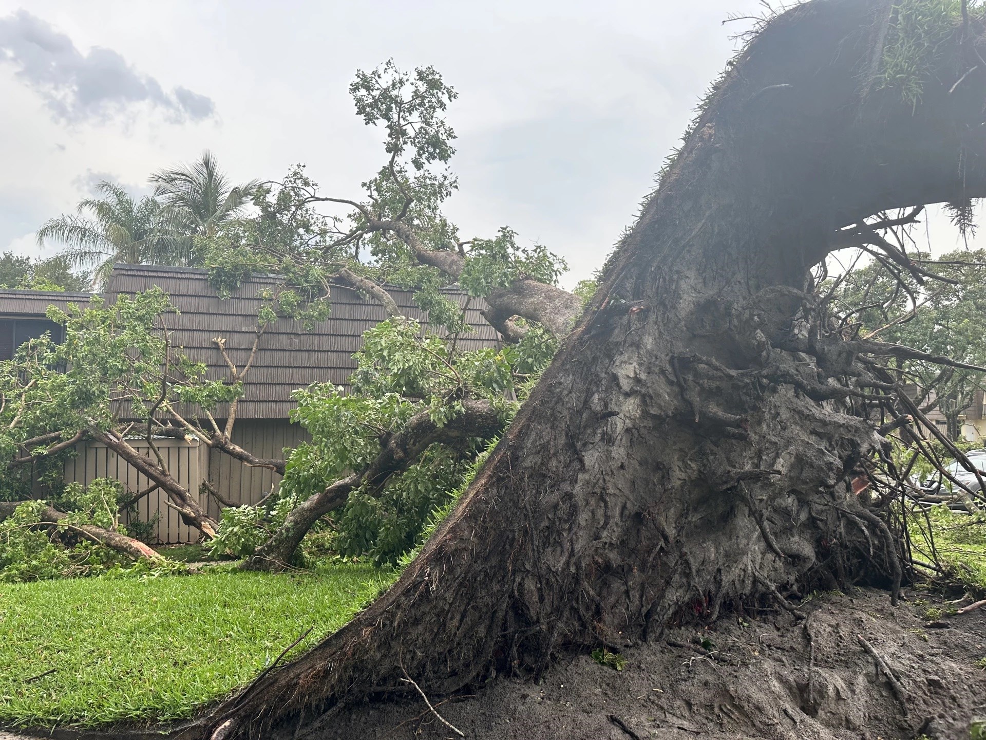 Miles de personas quedaron a oscuras por tornado en Florida, EE.UU. Foto: WPTV.