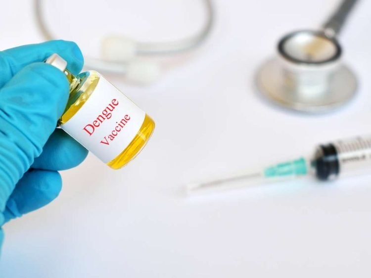 Cuba comenzó estudios preclínicos de vacuna contra el dengue